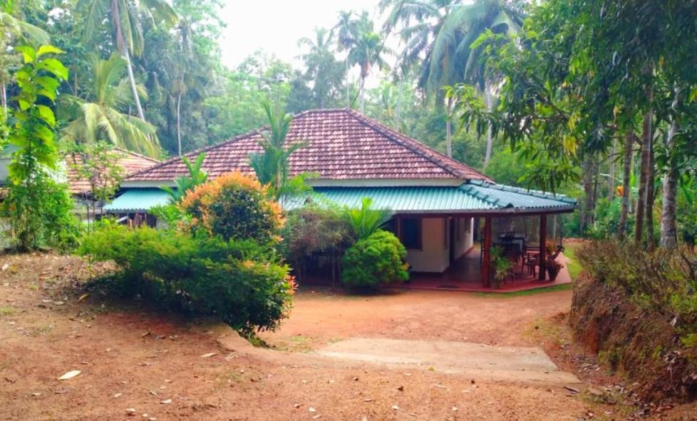 Hiriketiya Green Hill Home Dikwella Kültér fotó